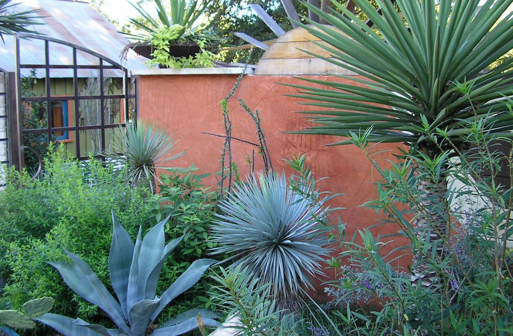 Water-Wise Garden Zones: What plants go where?